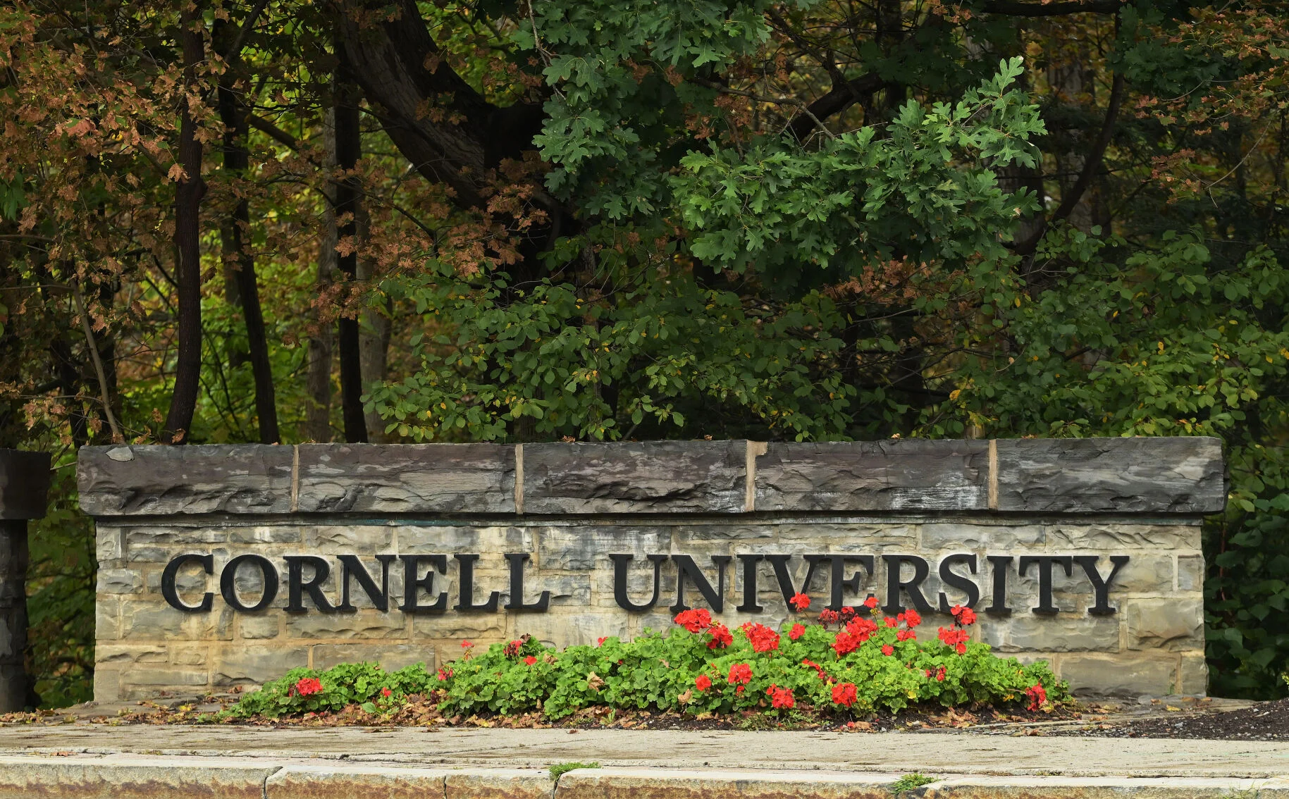 Cornell Chi Phi lawsuit: what we know