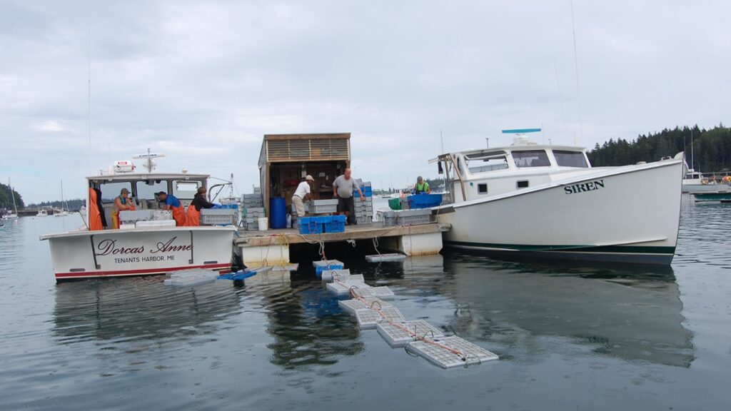The Lobsterman Case and the Fourth Amendment’s “Regulated Industry” Loophole