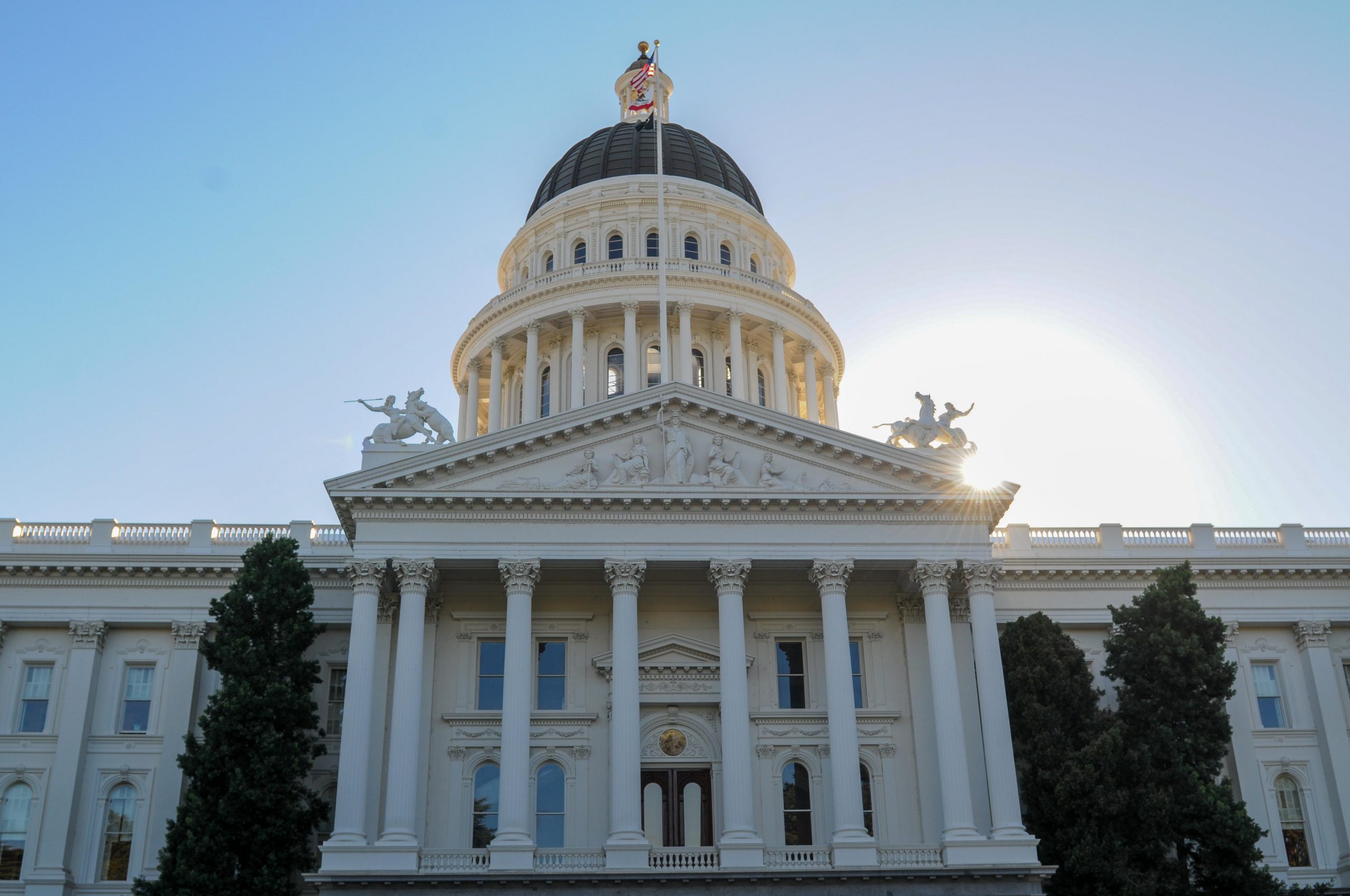Can Sex Offenders Run for School Board? What California Law Allows