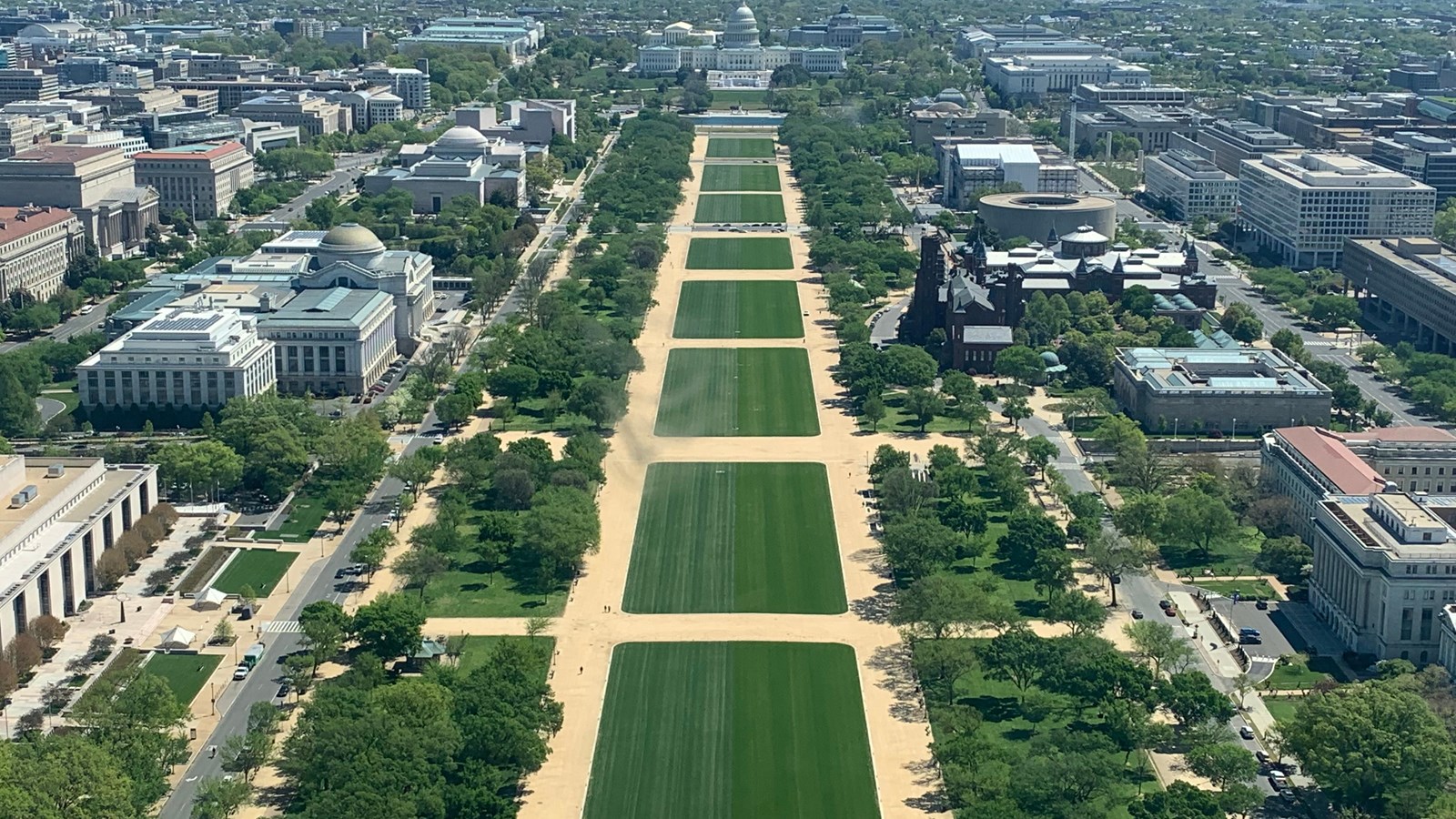 National Mall Vandalism Cases: Who Prosecutes and Why Charges Get Dropped