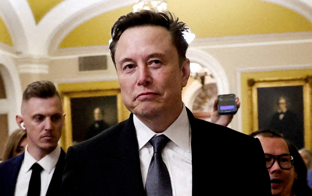Musk - appointed DOGE Lead