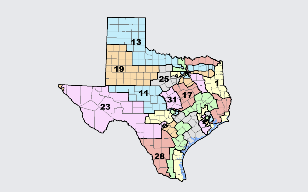 a map of Texas congressional districts